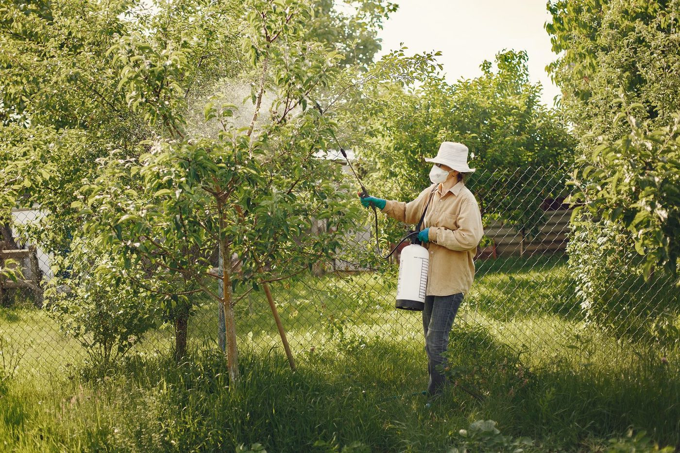 Pest control and termite work