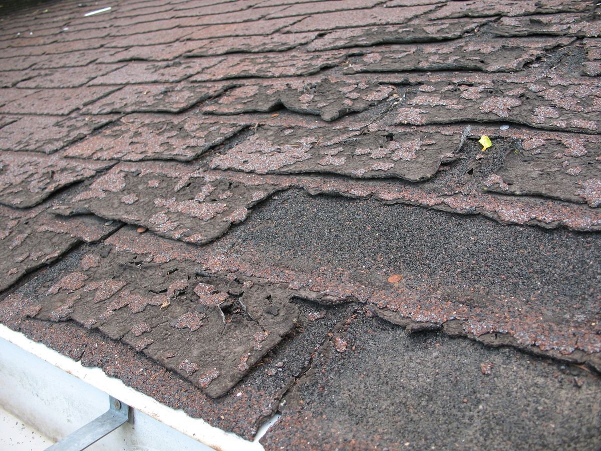 Failed asphalt shingles curling and letting water in