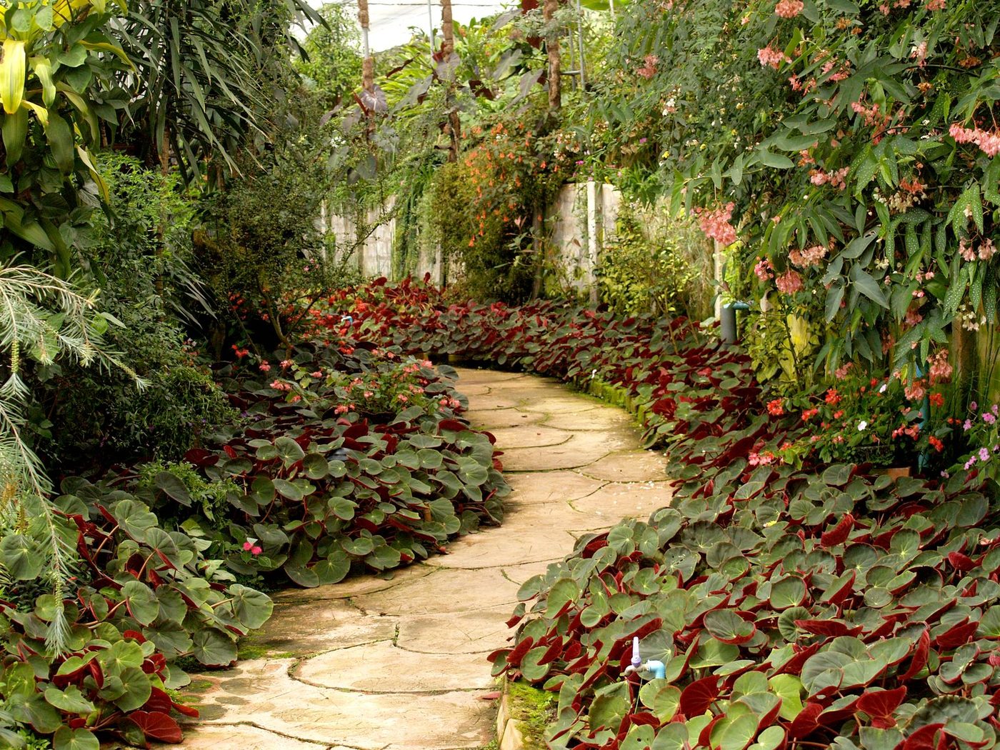 Turf, landscaping and outdoor work
