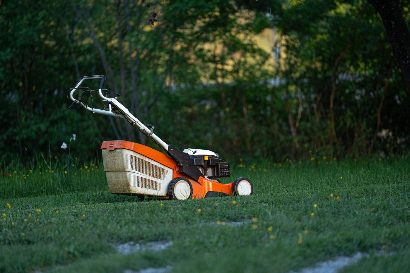 Turf, landscaping and outdoor work