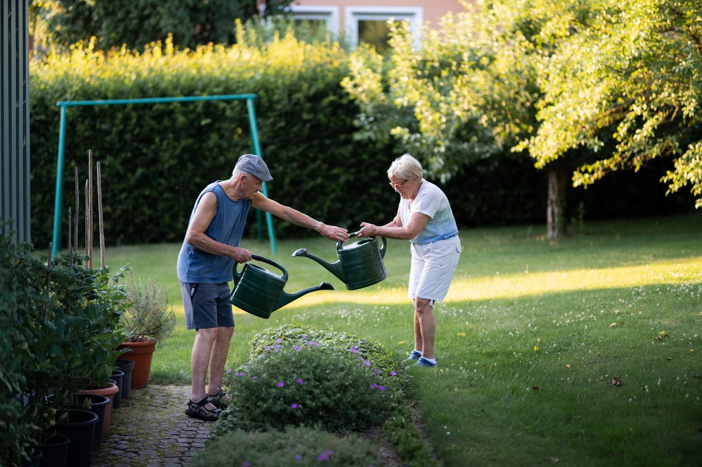 Turf, landscaping and outdoor work