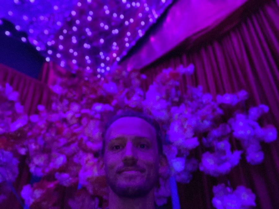 Somewhere purple.